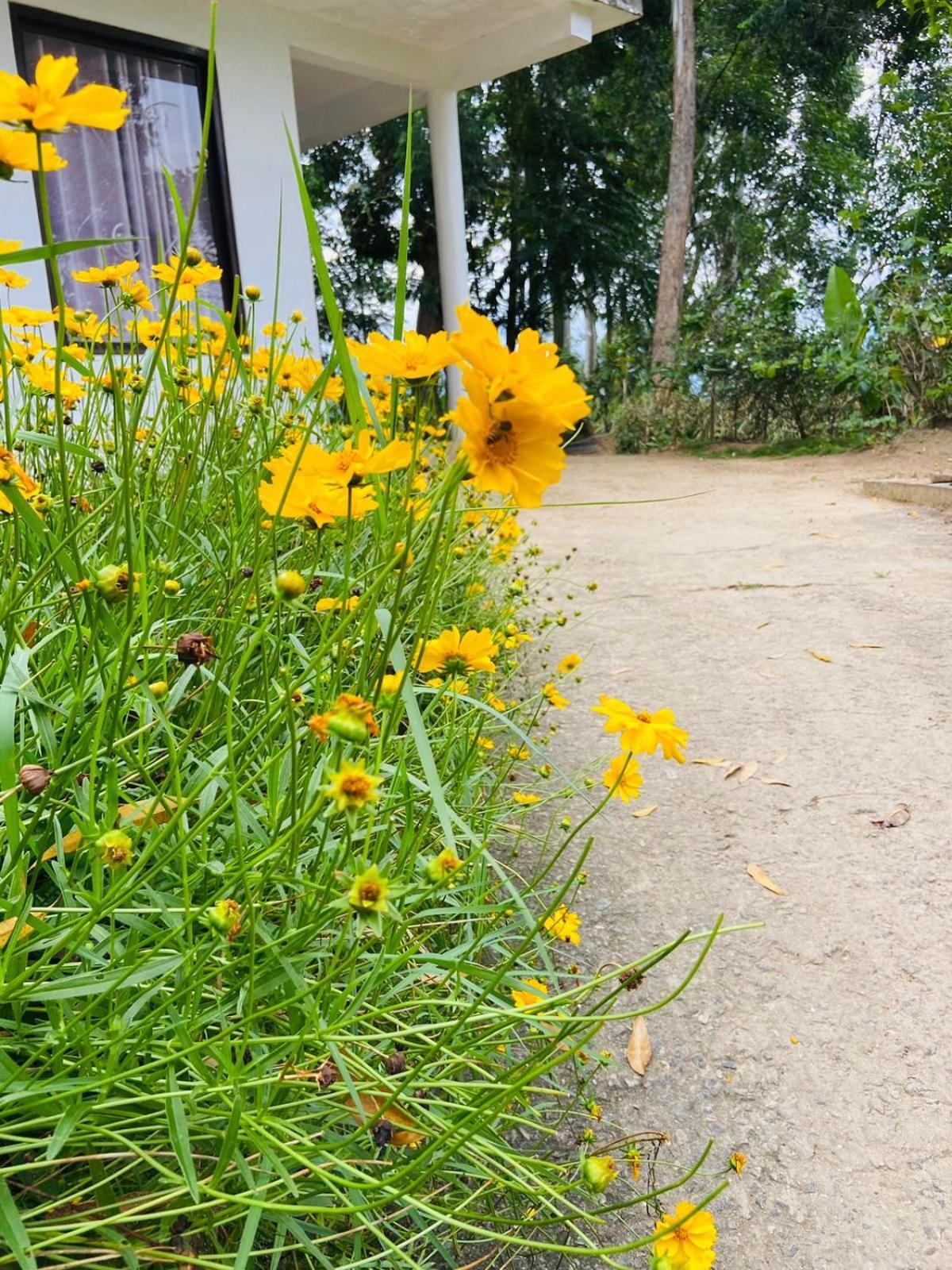 Saveen View 엘라 외부 사진